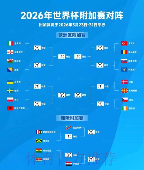2026年世界杯强队实力排名深度解析